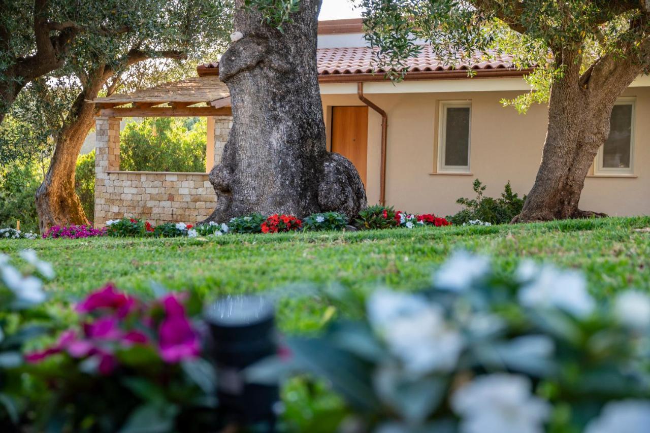 Il Mirto Residence Marina di Camerota Luaran gambar