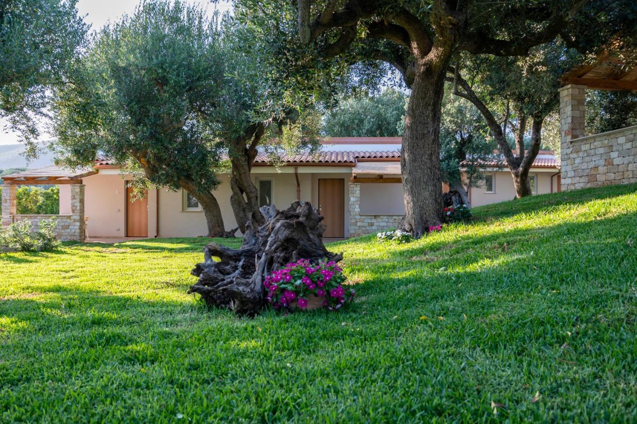 Il Mirto Residence Marina di Camerota Luaran gambar
