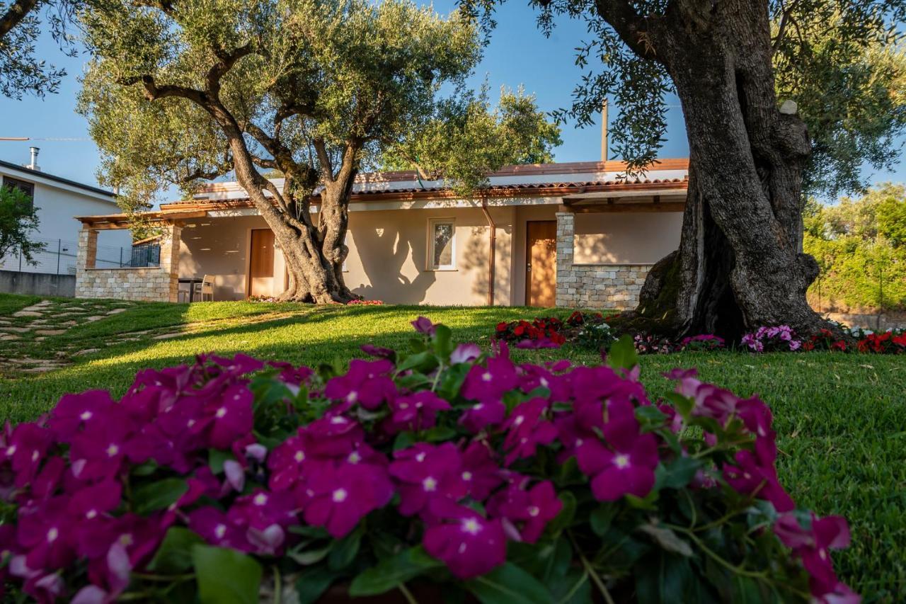 Il Mirto Residence Marina di Camerota Luaran gambar